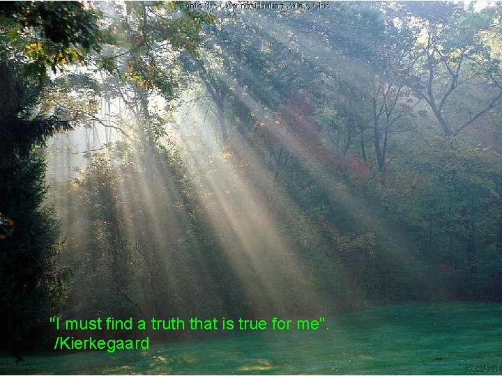  "I must find a truth that is true for me". /Kierkegaard 