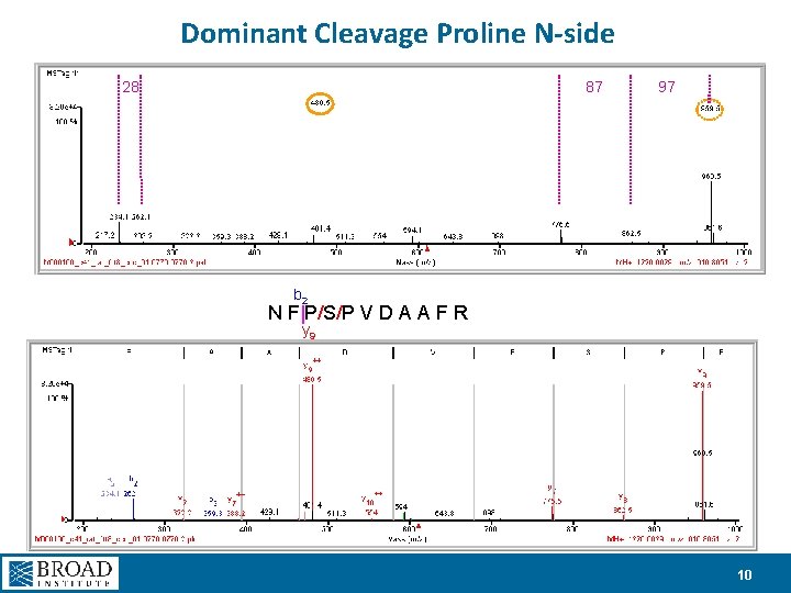 Dominant Cleavage Proline N-side 28 87 97 b 2 N F|P/S/P V D A