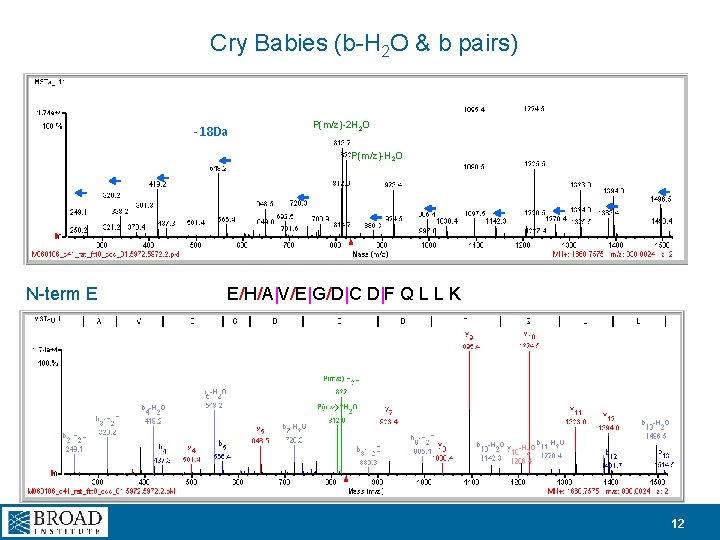 Cry Babies (b-H 2 O & b pairs) -18 Da P(m/z)-2 H 2 O