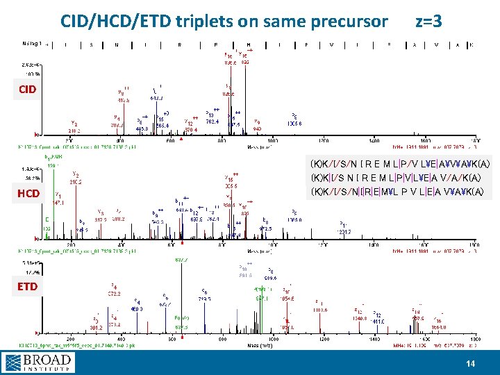CID/HCD/ETD triplets on same precursor z=3 CID HCD (K)K/I/S/N I R E M L|P/V