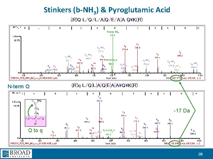 Stinkers (b-NH 3) & Pyroglutamic Acid (R)Q L/Q/L/A|Q/E/A|A QK(R) P(m/z)-NH 3 N-term Q (R)q