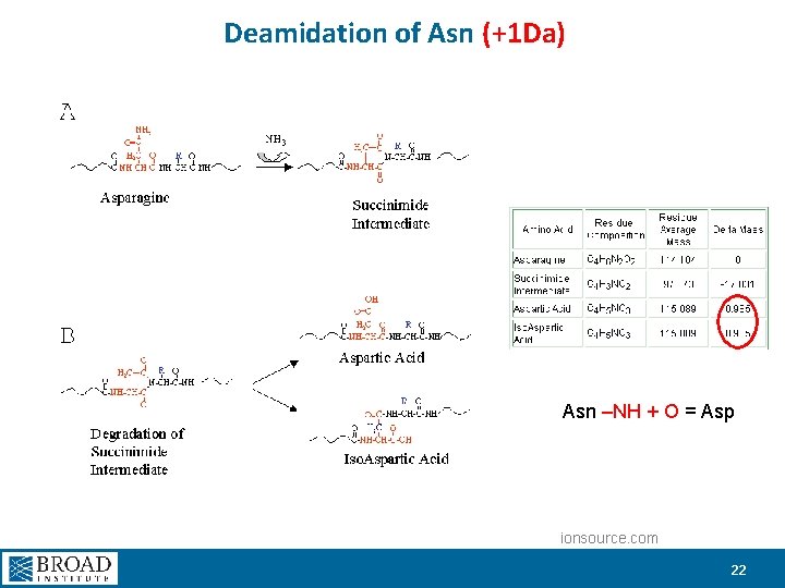 Deamidation of Asn (+1 Da) Asn –NH + O = Asp ionsource. com 22