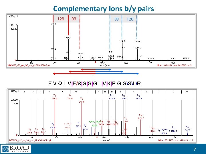 Complementary Ions b/y pairs 128 99 99 128 E V Q L V|E/S|G|G|G L|V|K|P
