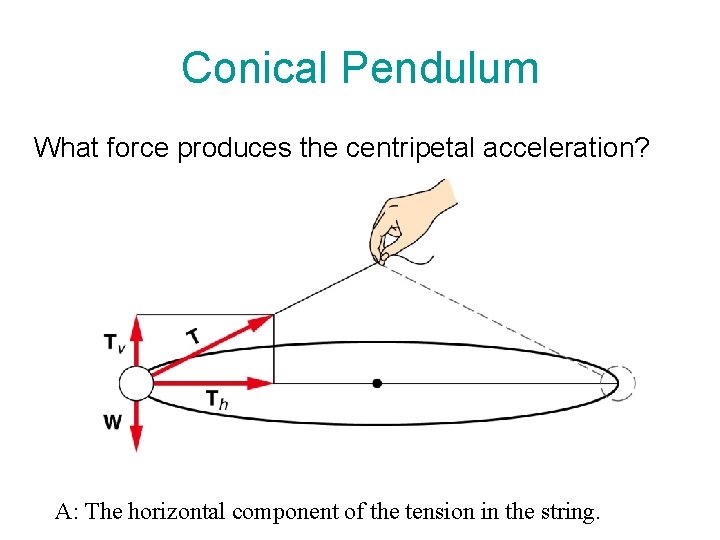Conical Pendulum What force produces the centripetal acceleration? A: The horizontal component of the