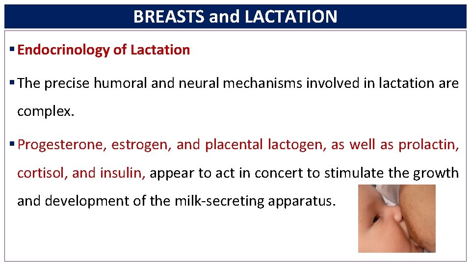 BREASTS and LACTATION § Endocrinology of Lactation § The precise humoral and neural mechanisms