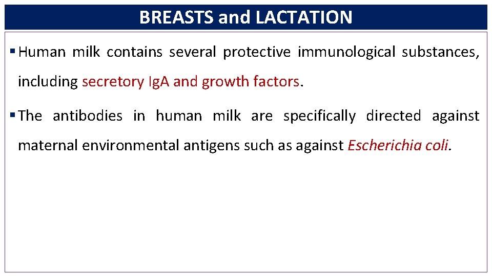 BREASTS and LACTATION § Human milk contains several protective immunological substances, including secretory Ig.