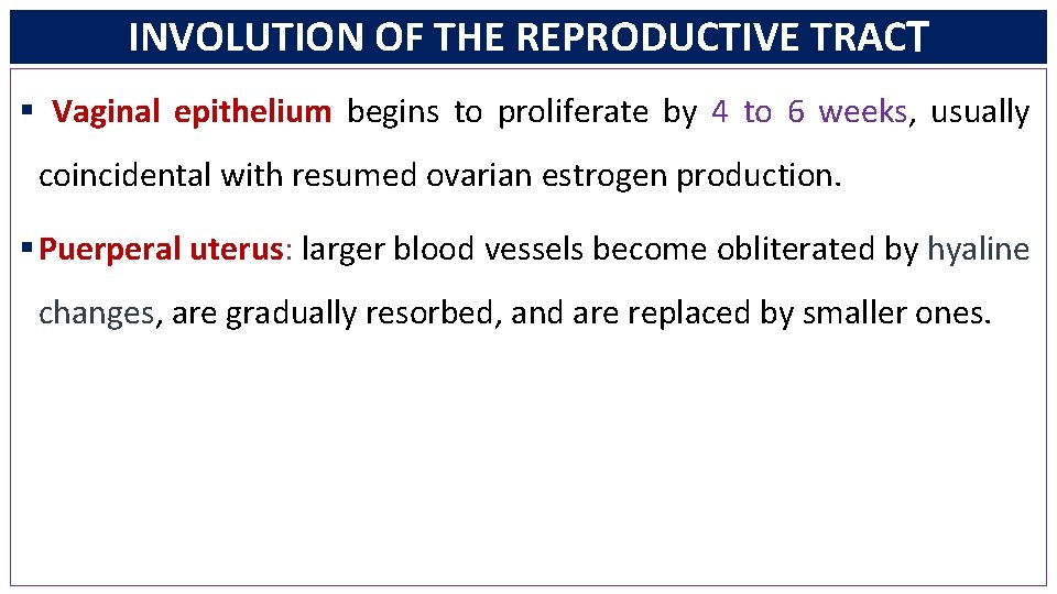 INVOLUTION OF THE REPRODUCTIVE TRACT § Vaginal epithelium begins to proliferate by 4 to