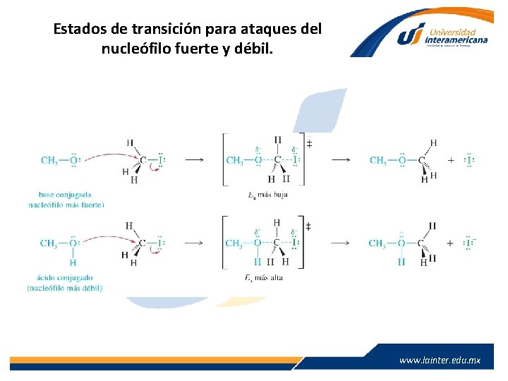 Estados de transición para ataques del nucleófilo fuerte y débil. www. lainter. edu. mx