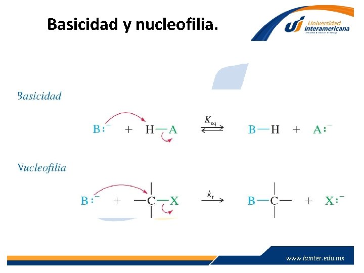 Basicidad y nucleofilia. www. lainter. edu. mx 