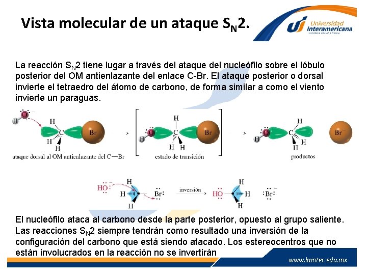 Vista molecular de un ataque SN 2. La reacción SN 2 tiene lugar a