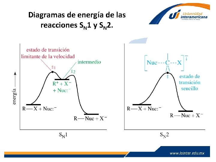 Diagramas de energía de las reacciones SN 1 y SN 2. www. lainter. edu.