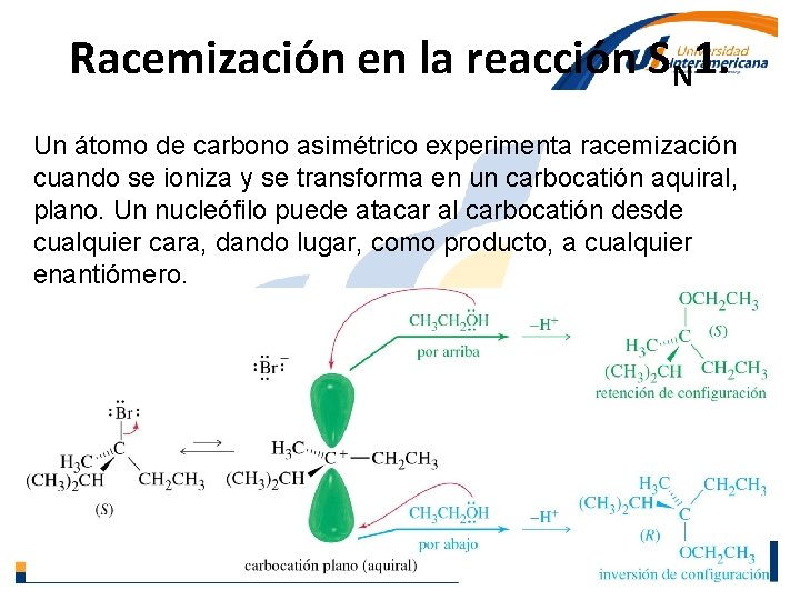 Racemización en la reacción SN 1. Un átomo de carbono asimétrico experimenta racemización cuando