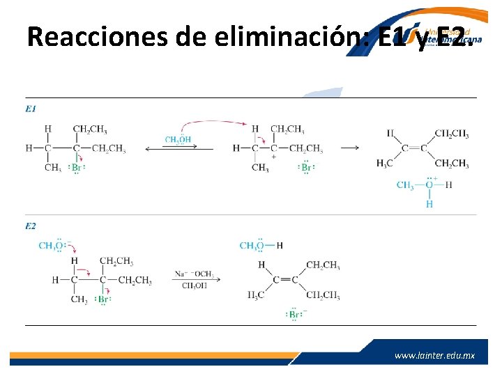 Reacciones de eliminación: E 1 y E 2. www. lainter. edu. mx 