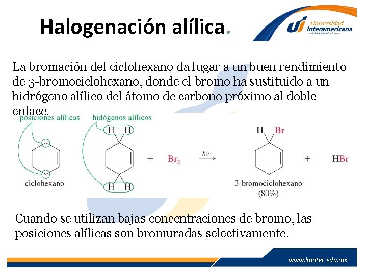Halogenación alílica. La bromación del ciclohexano da lugar a un buen rendimiento de 3