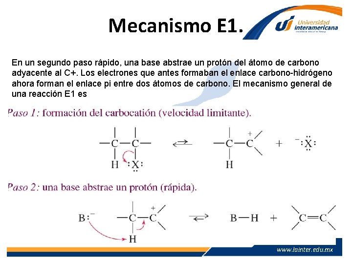 Mecanismo E 1. En un segundo paso rápido, una base abstrae un protón del