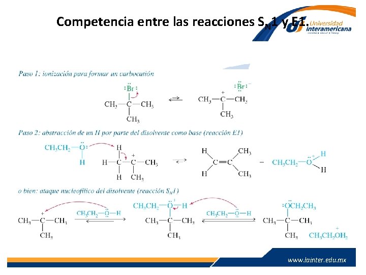 Competencia entre las reacciones SN 1 y E 1. www. lainter. edu. mx 