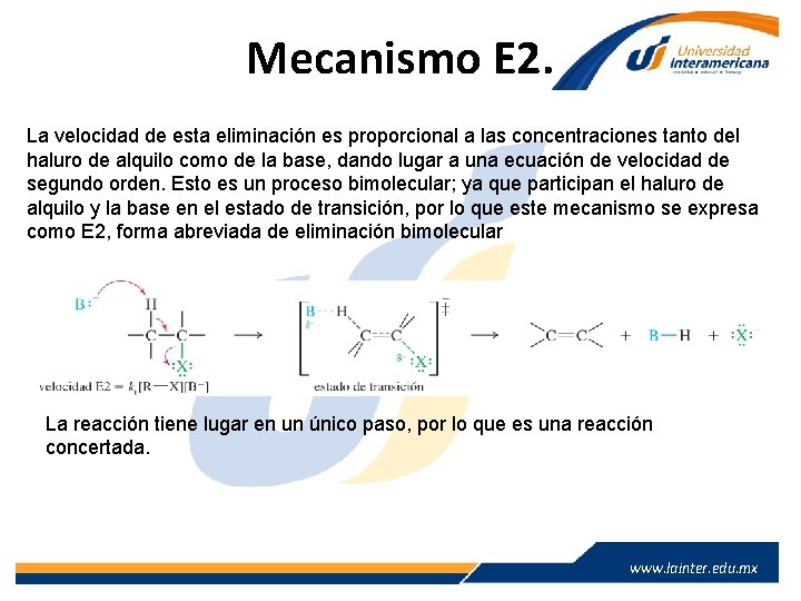 Mecanismo E 2. La velocidad de esta eliminación es proporcional a las concentraciones tanto