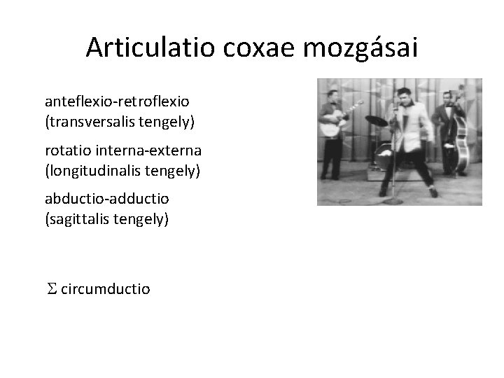 Articulatio coxae mozgásai anteflexio-retroflexio (transversalis tengely) rotatio interna-externa (longitudinalis tengely) abductio-adductio (sagittalis tengely) circumductio