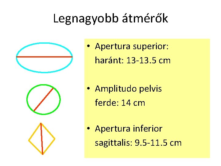 Legnagyobb átmérők • Apertura superior: haránt: 13 -13. 5 cm • Amplitudo pelvis ferde: