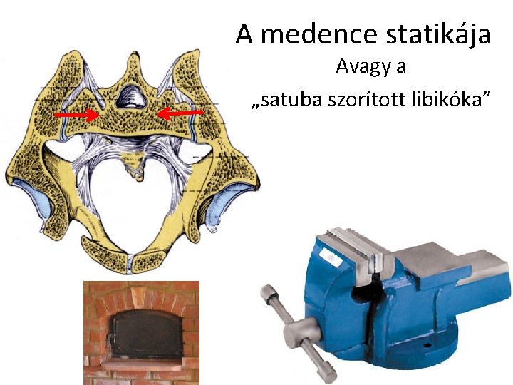 A medence statikája Avagy a „satuba szorított libikóka” 