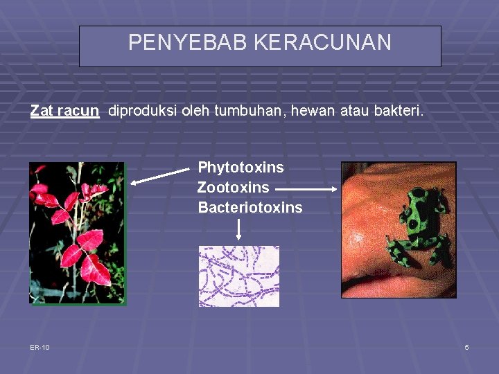 PENYEBAB KERACUNAN Zat racun diproduksi oleh tumbuhan, hewan atau bakteri. Phytotoxins Zootoxins Bacteriotoxins ER-10