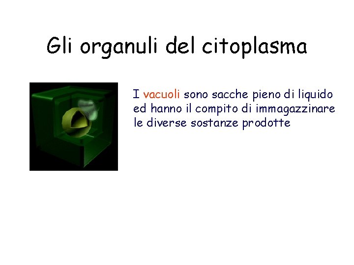 Gli organuli del citoplasma I vacuoli sono sacche pieno di liquido ed hanno il