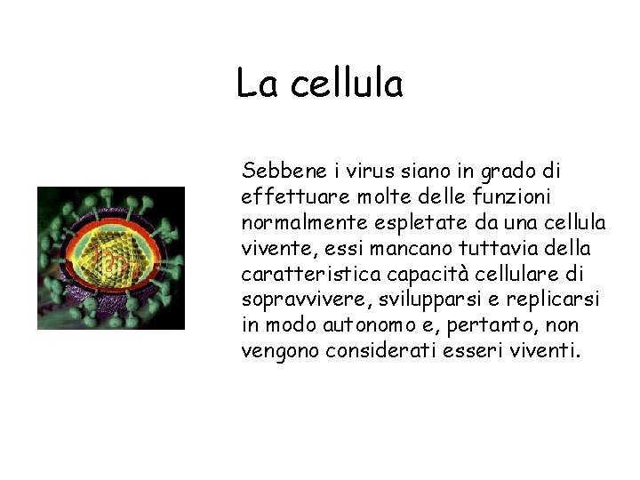 La cellula Sebbene i virus siano in grado di effettuare molte delle funzioni normalmente