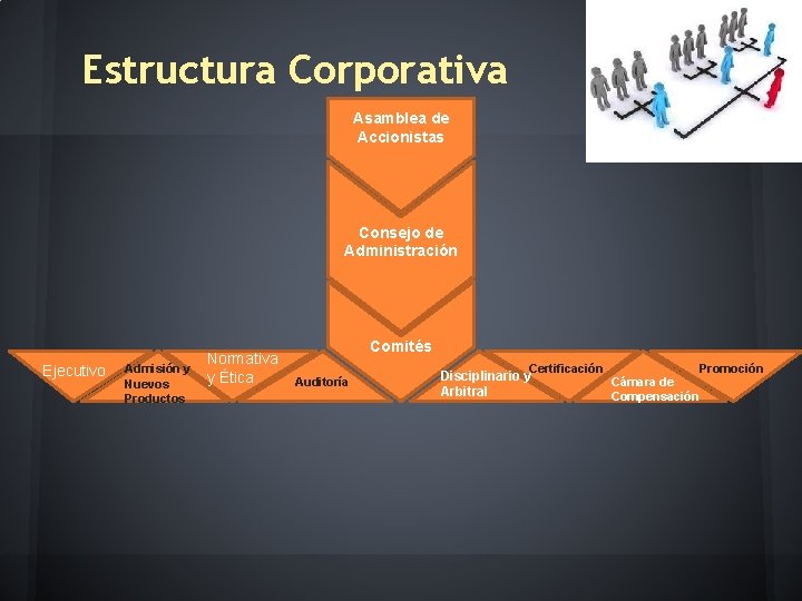 Estructura Corporativa Asamblea de Accionistas Consejo de Administración Ejecutivo Admisión y Nuevos Productos Normativa