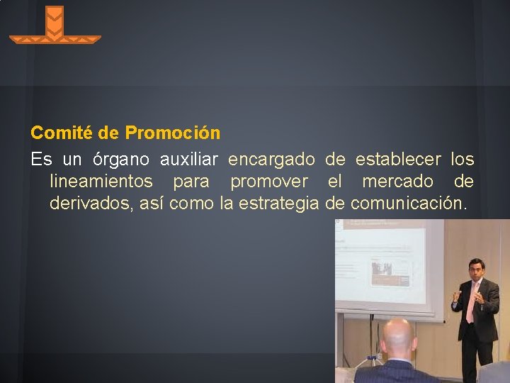 Comité de Promoción Es un órgano auxiliar encargado de establecer los lineamientos para promover