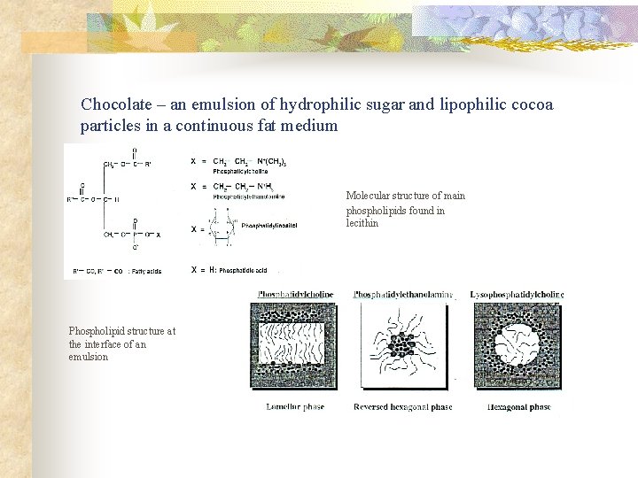 Chocolate – an emulsion of hydrophilic sugar and lipophilic cocoa particles in a continuous