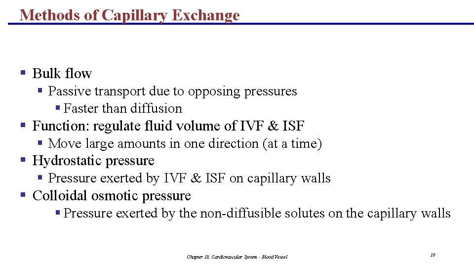 Methods of Capillary Exchange § Bulk flow § Passive transport due to opposing pressures