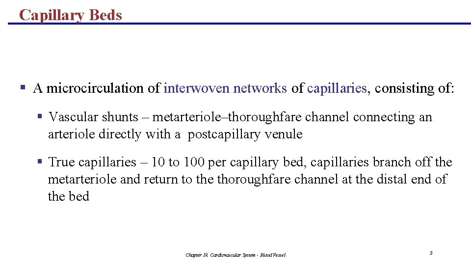 Capillary Beds § A microcirculation of interwoven networks of capillaries, consisting of: § Vascular