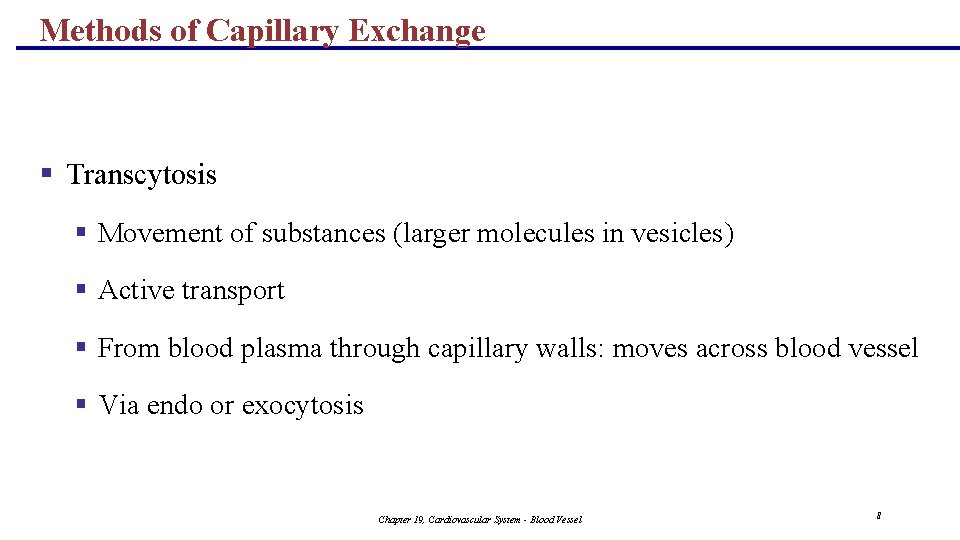 Methods of Capillary Exchange § Transcytosis § Movement of substances (larger molecules in vesicles)