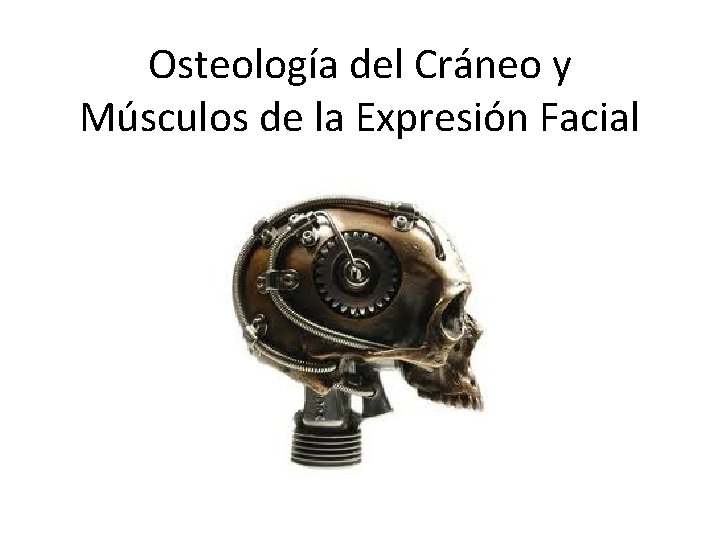 Osteología del Cráneo y Músculos de la Expresión Facial 