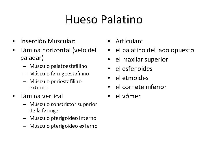 Hueso Palatino • Inserción Muscular: • Lámina horizontal (velo del paladar) – Músculo palatoestafilino