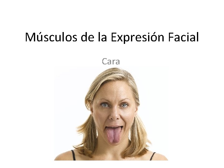 Músculos de la Expresión Facial Cara 