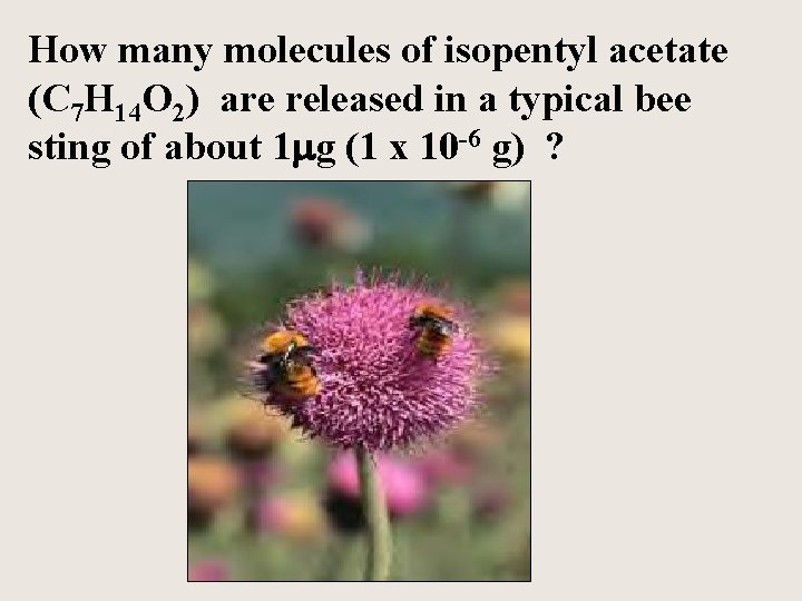 How many molecules of isopentyl acetate (C 7 H 14 O 2) are released