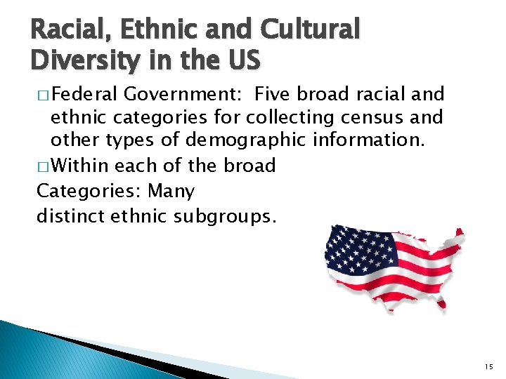 Racial, Ethnic and Cultural Diversity in the US � Federal Government: Five broad racial