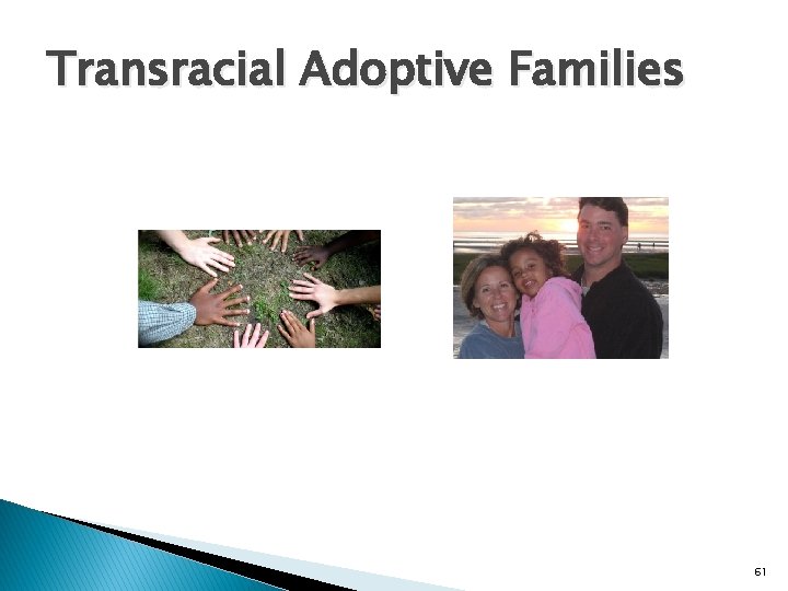 Transracial Adoptive Families 61 