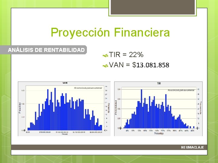 Proyección Financiera ANÁLISIS DE RENTABILIDAD TIR = 22% VAN = $13. 081. 858 NEUMACLAJE