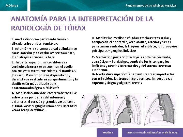 ANATOMÍA PARA LA INTERPRETACIÓN DE LA RADIOLOGÍA DE TÓRAX El mediastino: compartimento torácico situado