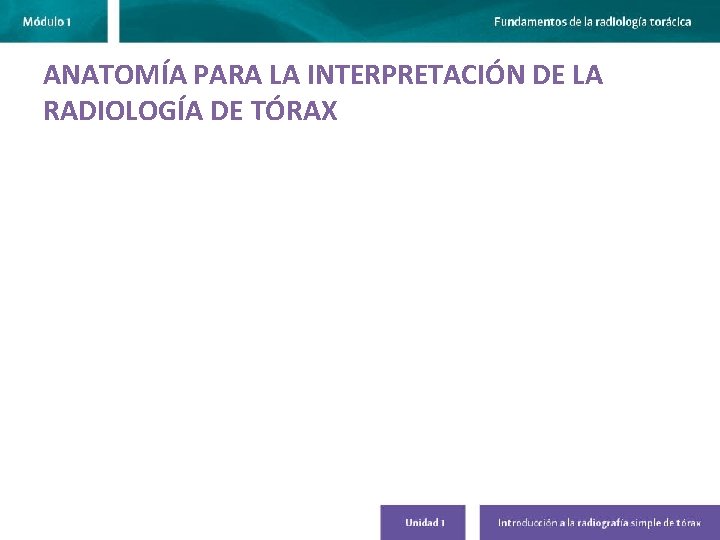 ANATOMÍA PARA LA INTERPRETACIÓN DE LA RADIOLOGÍA DE TÓRAX 