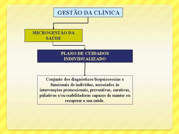  GESTÃO DA CLÍNICA MICROGESTÃO DA SAÚDE PLANO DE CUIDADOS INDIVIDUALIZADO Conjunto dos diagnósticos