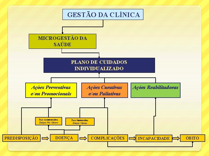  GESTÃO DA CLÍNICA MICROGESTÃO DA SAÚDE PLANO DE CUIDADOS INDIVIDUALIZADO Ações Preventivas e/ou
