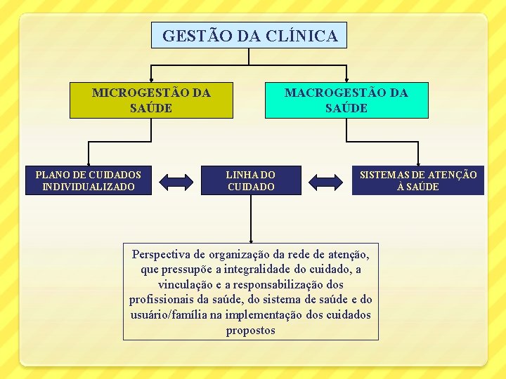  GESTÃO DA CLÍNICA MICROGESTÃO DA SAÚDE PLANO DE CUIDADOS INDIVIDUALIZADO MACROGESTÃO DA SAÚDE