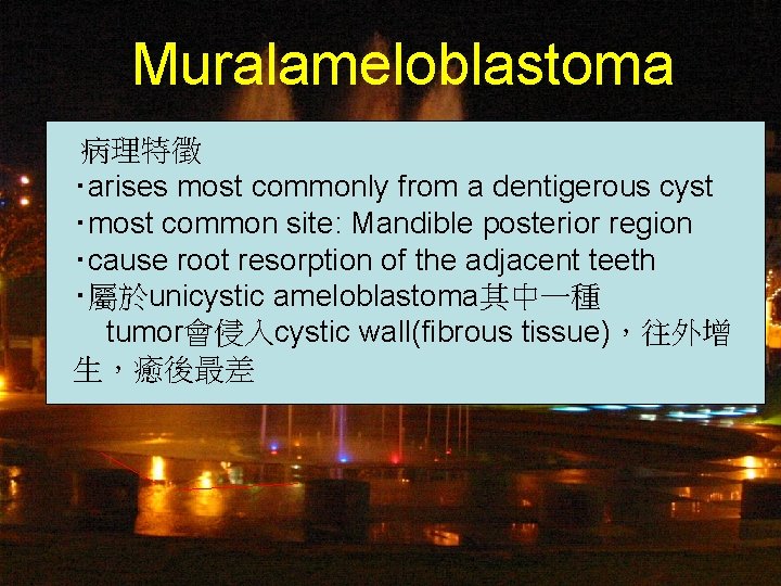 Muralameloblastoma 病理特徵 ‧arises most commonly from a dentigerous cyst ‧most common site: Mandible posterior