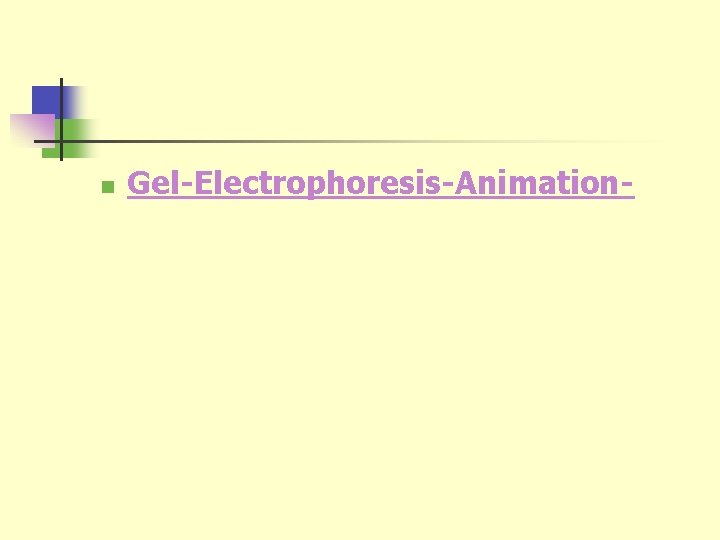 n Gel-Electrophoresis-Animation- 