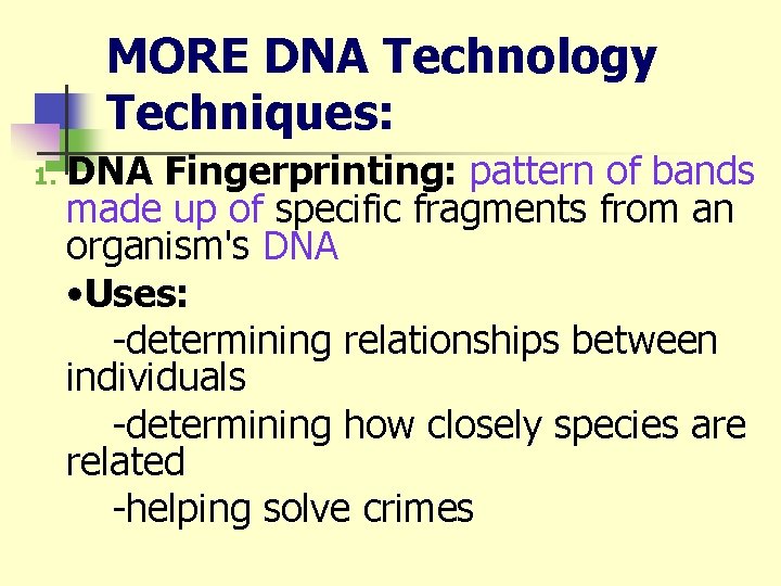 MORE DNA Technology Techniques: 1. DNA Fingerprinting: pattern of bands made up of specific