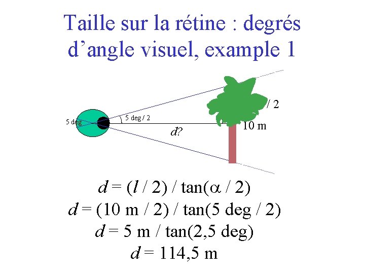 Taille sur la rétine : degrés d’angle visuel, example 1 10 m / 2