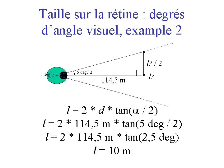 Taille sur la rétine : degrés d’angle visuel, example 2 l? / 2 5